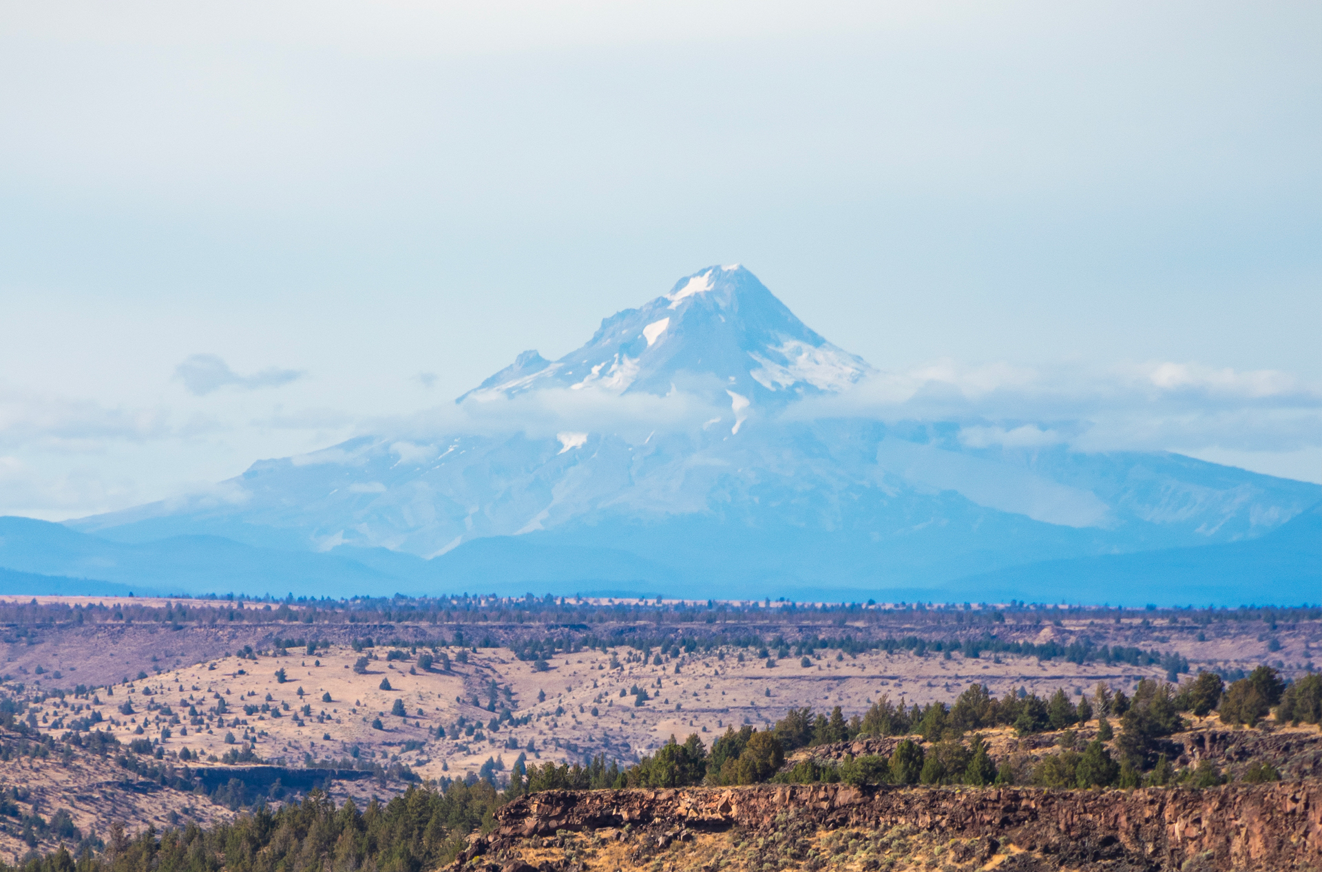 Free HTML Template by Untree.co